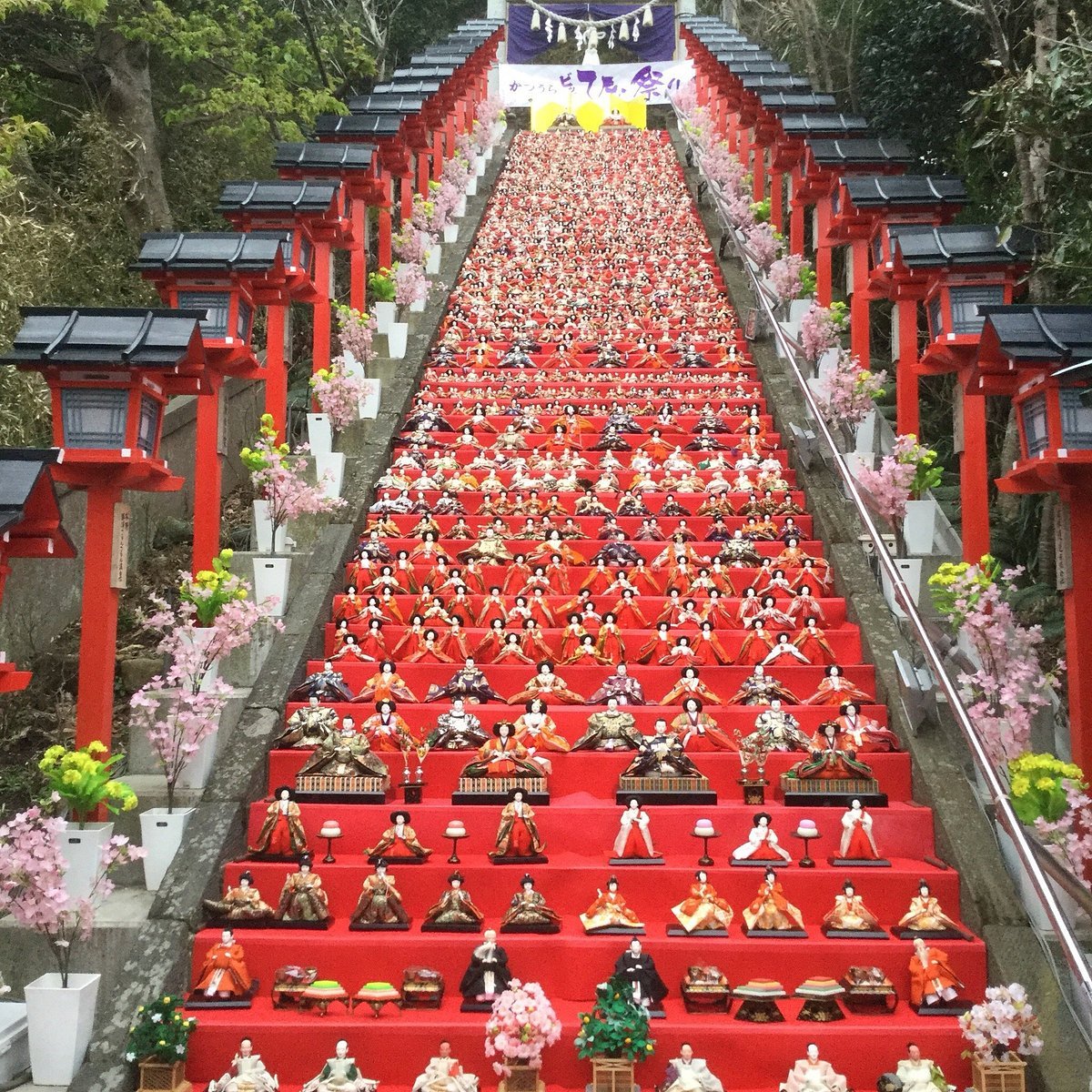 ⛩️ 먼 곳을 보는 곶 신사 (도미사키 신사) 이미지 7